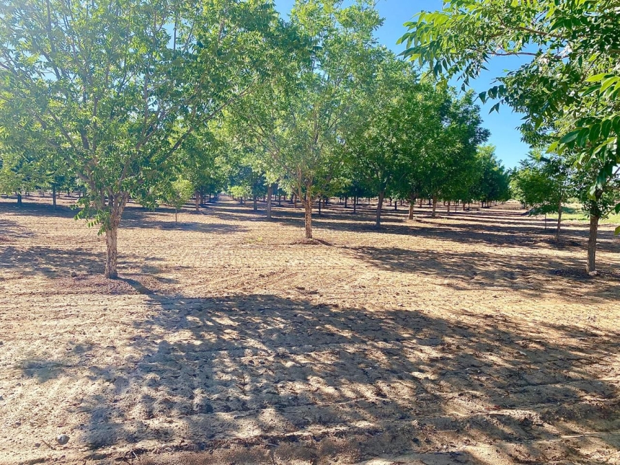 12 Bedroom Property for Sale in Douglas Rural Northern Cape